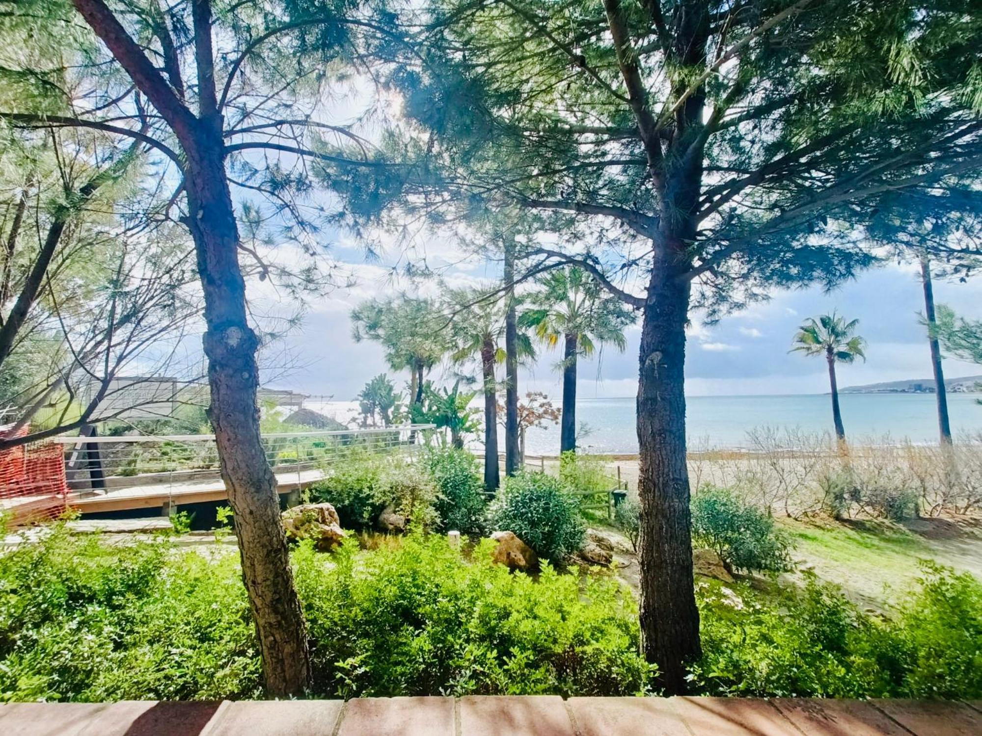 Luxury Del Mar Dp7 Casares